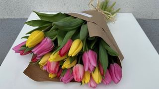 Bukiet kolorowych tulipanów - 25 sztuk