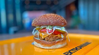 Classic Chicken Burger