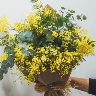 Ramo mimosa con eucalipto