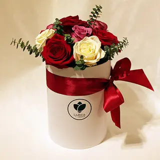 Tri boje ruža flowerbox. 9 ruža