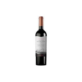Cabernet Sauvignon Castillo De Molina (0,75л)