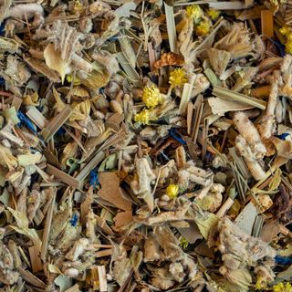 Ceai plante Alpinist