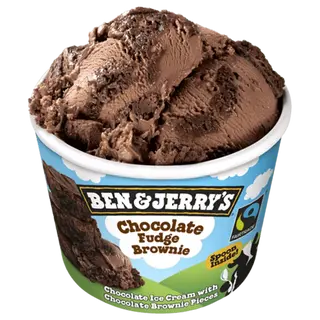 Ben & Jerrys Chocolate Fudge Brownie (100 Ml.)