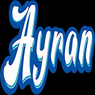 Ayran 250 mL