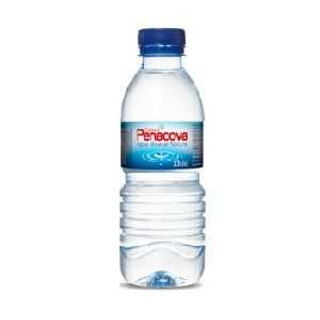 Água 0.33L