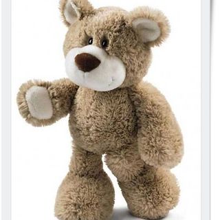 Oso de peluche