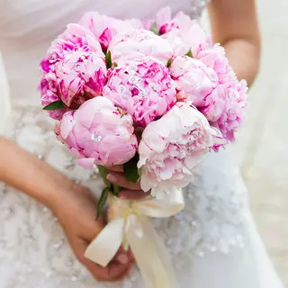 10 peonie fucsia