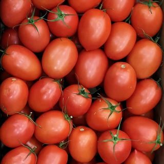 Tomate Pera Extra 500 Gr