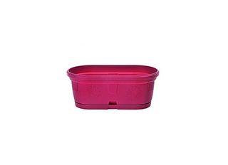 Сандъче, циклама, малко