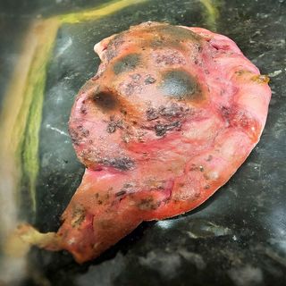 PANZEROTTO AL FORNO BARBABIETOLA