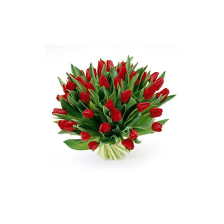 Ramo De 15 Tulipanes Rojos 