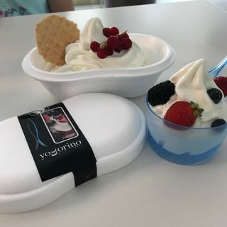 Vaschetta yogurt 500 g