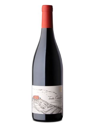 Riserva Di Piedirosso Campi Flegrei Tenuta Camaldoli Dop 2016 75 cl