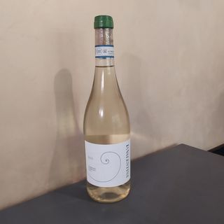 Trebbiano la Valentina 