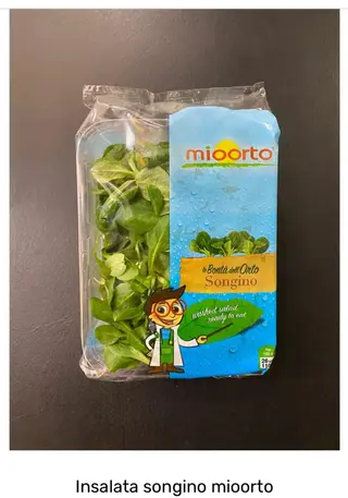 Insalata songino mioorto - vaschetta 100 g