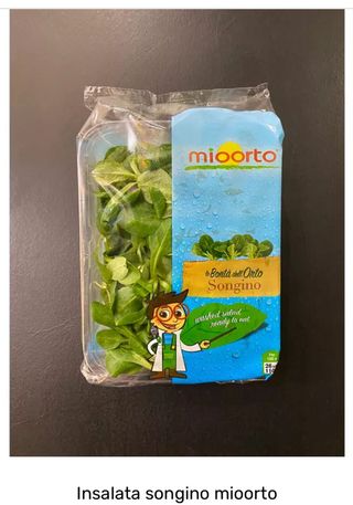 Insalata songino mioorto - vaschetta 100 g