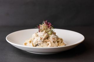 Pasta Chicken Alfredo