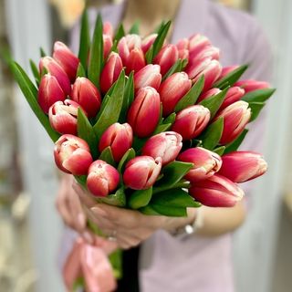 Buchet din 15 Lalele Alb-Rosii Dutch Design