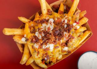 Cheesy Fries