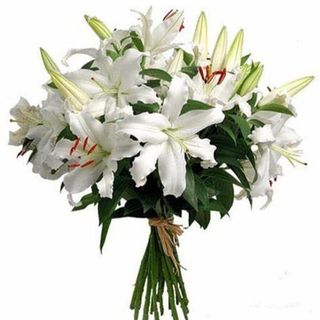 RAMO LILIUM BLANCO