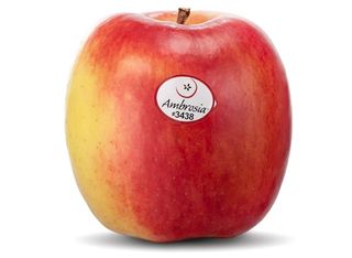 Mela ambrosia al pezzo