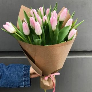 11 lalele roz olandeze