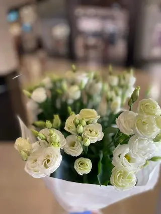 7szt - eustoma biała