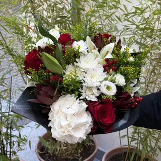 Santo Red and White