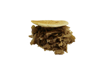 Kebab solo carne mixta