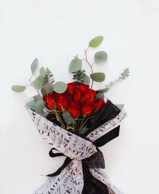  ვარდი ევკალიპტი 