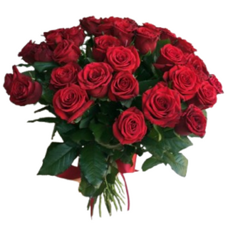 15 czerwonych róż ( długość 50-60 cm )
