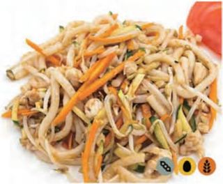 21. Spaghetti di udon saltati con pollo