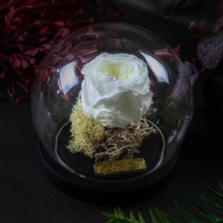 Cloche dôme blanche 