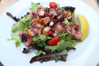 Salada Polvo