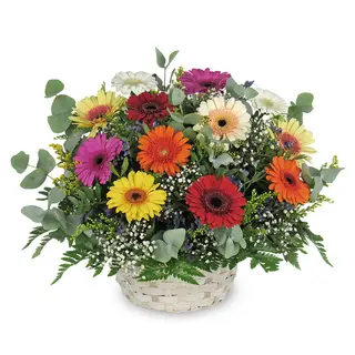 __cesta Colorfulx10