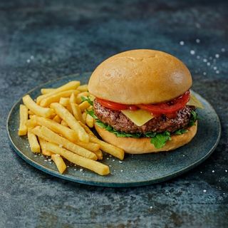 Plain Burger With Side Of Fries