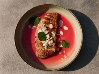 Качине філе у малиновому соусі (210g)