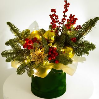 Композиція"Зимовий стиль"