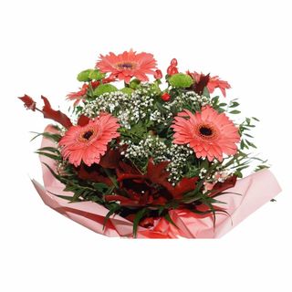 Bukiet Gerberek