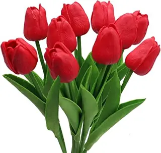 Mazzo di 10 tulipani rossi