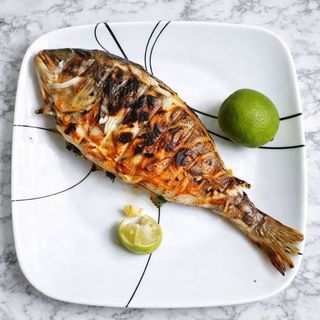 Grilled Fish