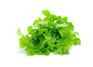 Lechuga Verde Tierna 1 Und