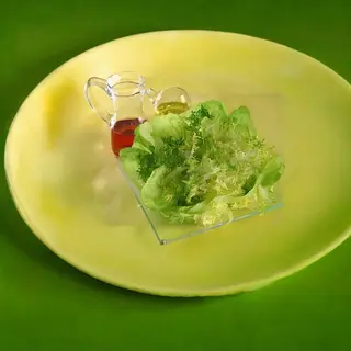 Zelena salata