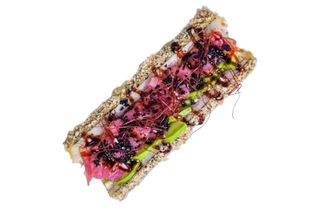 Рол дог з Лососем та тунцем