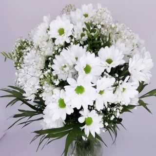 Ramo de Margaritas Blancas