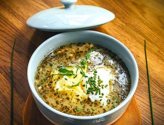 ŻUR STAROPOLSKI NA MAŚLANCE