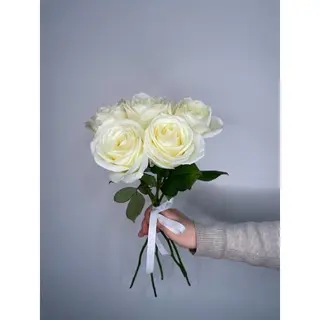 Biała Róża 60 cm, 5 szt