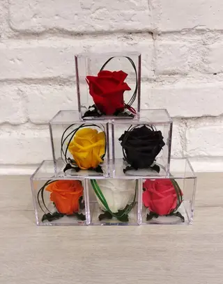 Rosa Naranja Eterna En  Cubo
