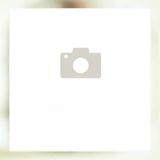 76. Хрупкави пилешки хапки (300г)