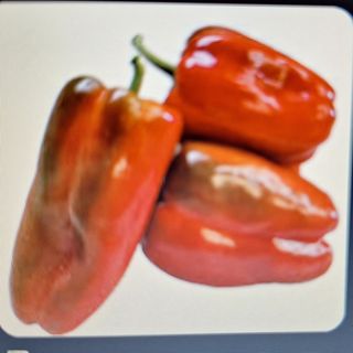 PIMIENTO ROJO